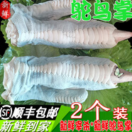 2個(gè)裝 新鮮鴕鳥掌現(xiàn)殺肉批發(fā)散養(yǎng)鴕鳥腳爪子巨型大鳳爪子順豐 【純掌一對】2斤以上裝