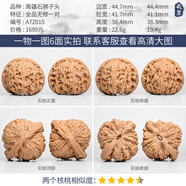 胖東來品質(zhì)核桃盤玩文玩一物一圖精品大粗筋蛤蟆頭南瓜墩四座樓南 A72015 全品無修南疆石獅子頭45m