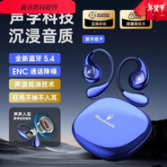 新科（Shinco）瑪莎拉蒂掛耳式運(yùn)動(dòng)藍(lán)牙耳機(jī)降噪高清耳麥自定義瑪莎拉蒂505[暮光