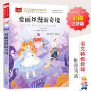 愛麗絲漫游奇境 彩圖注音兒童文學(xué) 一二三年級課外閱讀書必讀世界經(jīng)典文學(xué)少兒名著童話故事書 大語文系列 小學(xué)語文課外閱讀經(jīng)典叢書