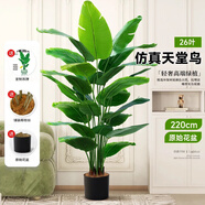 寧雪兒仿真發(fā)財樹(shù)盆栽室內仿真花假花客廳落地裝飾綠植假樹(shù)樹(shù)塑料樹(shù)植物 26桿 仿真天堂鳥(niǎo)2.15M 含配草