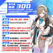 外置聲卡調(diào)試專業(yè)調(diào)音師精調(diào)艾肯IXI迷笛RME錄音棚唱歌機架效果 【電腦調(diào)試】豪華版精調(diào)