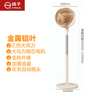 揚(yáng)子電風(fēng)扇空氣循環(huán)扇智能語(yǔ)音風(fēng)扇家用臥室客廳大風(fēng)量落地扇臺(tái)扇兩用輕音搖頭楊子循環(huán)扇循環(huán)風(fēng)扇制冷 【加重地盤(pán)】金屬鋁葉機(jī)械大風(fēng)力升降款