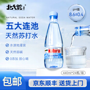 北大荒倍爽五大連池天然蘇打水440ml整箱堿性小分子團礦泉飲用水無(wú)汽無(wú)添加 440mlx24一件