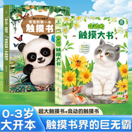 寶寶的第一本觸摸書 0-2歲兒童早教繪本觸感嬰兒書感官刺激那么大地板書1歲撕不爛立體兒童讀物2-3歲啟蒙看圖認(rèn)知學(xué)習(xí)益智翻翻書幼兒童禮物 【劃算】觸摸書+會(huì)動(dòng)的觸摸大書