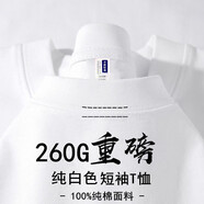香芋紫260G重磅純棉短袖厚實(shí)不透T恤寬松小領(lǐng)口男純色半袖打底衫 象牙白【260g重磅純棉】 S 【建議95-120斤】