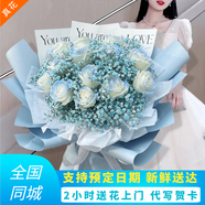 鮮花同城配送碎冰藍(lán)玫瑰真花小時達(dá)送老婆女友生日情人節(jié)七夕禮物 【夢的寄托】11朵碎冰藍(lán)玫瑰花束 同城送花-可預(yù)定日期送達(dá)