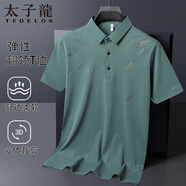 太子龍（TEDELON）短袖T恤男士父親節(jié)禮物夏季冰絲爸爸裝中老年翻領(lǐng)polo衫 水泥綠54