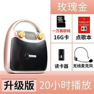 伊菲爾（Eifer）B11新款便攜式藍牙音箱廣場舞音響大音量K歌手提戶外 升級版金+FM+16G萬首歌戲+目錄  標配