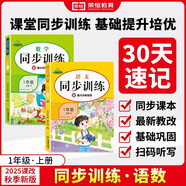 【榮恒】2025秋最新小學(xué)同步訓(xùn)練一年級上冊語文數(shù)學(xué)全2冊人教版同步練習冊 一課一練課時提優(yōu)作業(yè)專項練習題 課課練53天天練