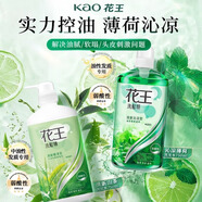 控油洗發(fā)水750ml*2瓶套裝 去油洗頭膏液男女士洗發(fā)露