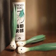鹿妖商店 青蔥永駐 蔬菜精靈純手工木雕 實(shí)木桌面擺件 生日禮物 3支青蔥+大號圓筒盒