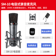 得勝 TAKSTAR（TAKSTAR）SM-10電容麥克風(fēng)直播設備全套聲卡 SM-10標配(不帶音頻線(xiàn)材)