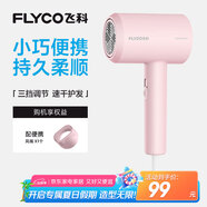 飛科（FLYCO）負離子電吹風機家用大功率冷熱風恒溫護發(fā)吹風筒FH6291