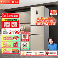 格力（GREE）晶弘225升三開(kāi)門(mén)風(fēng)冷無(wú)霜冰箱迷你小型家用宿舍出租房屋三門(mén)大冷凍節能低噪離子凈味電冰箱 BCD-225WETC/時(shí)代金