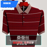 海瀾新潮國(guó)際一線品牌品牌桑蠶絲短袖T恤男中年夏季翻領(lǐng)半袖大碼 短袖3051酒紅色 4XL 190建議185-205斤