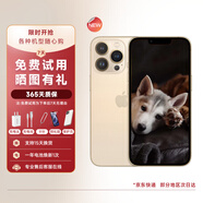 【白條免息】Apple iPhone13pro 蘋果13pro 全網(wǎng)通二手 二手蘋果手機 蘋果13pro【金色】 9新 512G【精美配件套裝】