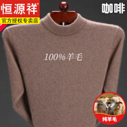 恒源祥純100羊毛衫男半高領(lǐng)冬季大碼純色毛衣羊毛針織衫男加厚 半高 領(lǐng)咖啡 M 170碼(適合125-140斤)