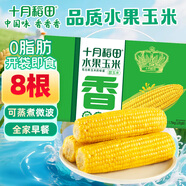 十月稻田 水果甜玉米新鮮 3.52斤(220g*8根)  即食 低脂早餐 雜糧禮盒