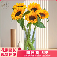 悅多彩優(yōu)質水養(yǎng)鮮切花 母親節(jié)三八節(jié)花束 昆明基地現采直發(fā)順豐生活鮮花 5支向日葵（中大花）