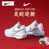 耐克（NIKE）籃球鞋男鞋 25春季新款A(yù)IR氣墊透氣運動鞋戶外跑步鞋AJ籃球鞋子男 全掌ZoomX泡綿/曬圖退10 40.5