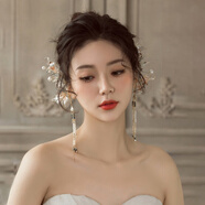 桐汝壁新娘森女系唯美發(fā)飾水晶花朵花朵流蘇耳掛白色耳環(huán)結婚頭飾 朵薇C款  一對裝