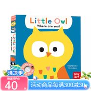 英文原版 Peekaboo 大嘴鳥(niǎo)躲貓貓系列 紙板書(shū)操作書(shū) 0-3歲 邊玩邊學(xué) 機(jī)關(guān)操作游戲書(shū) Nosy Crow 【Baby Faces】Little Owl 夢(mèng)想童趣城