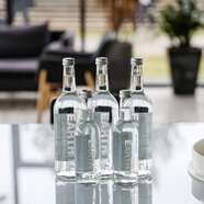 EARTH WATER洱思飲用天然礦泉水玻璃瓶進(jìn)口高端礦泉水含氣無(wú)氣礦泉水330ml/瓶 洱思礦泉水330ml*6瓶【無(wú)氣】