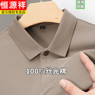 恒源祥（HYX）高端100%絲光純棉長袖t恤男2025春秋新款中年休閑翻領(lǐng)打底POLO衫 淺褐色 XL 175 推薦140-155斤
