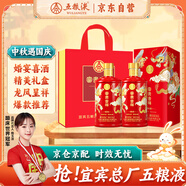 五糧液股份 婚宴喜酒 富貴吉祥精致52度500ml*2瓶濃香型純糧食白酒禮盒