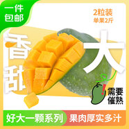 京鮮生 攀枝花好大一顆凱特芒 2斤巨無霸 2粒4斤裝  生鮮水果 源頭直發(fā)