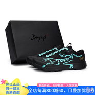 始祖鳥（ARC'TERYX）七夕禮遇【定制球鞋】 始祖鳥 Aerios Fl 2 811制造 化石秘境 特 黑蒂芙尼 44.5