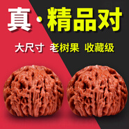 山中玉文玩核桃獅子頭手把玩古麻核桃核頭蛤蟆手盤把件男女送生日禮物男 [全品]入門級40-41四座樓1對