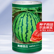 大禹懶漢西瓜種子苗特大適合南方早熟懶人8424麒麟瓜美都無籽水果蔬菜 美都西瓜種子 600粒/桶
