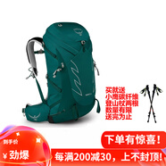 OSPREY TEMPEST 暴風(fēng) 9 11 20 22 24 26 34 女款徒步小鷹登山雙肩背包 暴風(fēng) 24 碧綠 WM/L
