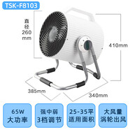 燦坤（EUPA）渦輪空氣對流循環(huán)扇家用臺式換氣電風(fēng)扇大炮凈化器 大號 TSK-F8103(適用面積25-35㎡)
