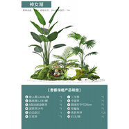 塑料仿真花類(lèi)田園風(fēng)格綠植仿真綠植盆栽室內(nèi)盆景裝飾 餐廳場(chǎng)景綠 神女湖_套