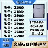 英特爾（Intel）G3900 4400 4560 4900 5400 5420 5900 5905 6400 6405 6500 T G4560  6代