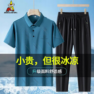 稻草人父親節(jié)禮物冰絲休閑套裝男士夏季透氣Polo衫速干短袖爸爸裝兩件套 淺藍(lán)兩件套-【面料升級(jí)】 M