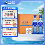 洋河 藍(lán)色經(jīng)典 海之藍(lán) 42度 480ml*2瓶 禮盒裝  濃香型白酒 