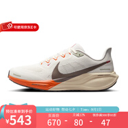 耐克（NIKE）飛馬41跑步鞋男子Pegasus 41蛇年新年款休閑運動鞋公路跑鞋 HV5975-102 44