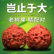 山中玉文玩核桃獅子頭手把玩古麻核桃核頭蛤蟆手盤把件男女送生日禮物男 進階級46-47官帽1對+升級工具