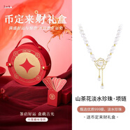 銀千惠999足銀淡水珍珠項(xiàng)鏈女士高級感吊墜女輕奢情人節(jié)生日禮物送女友 浪漫山茶淡水珍珠項(xiàng)鏈/999銀+幣定來財(cái)禮盒 玫瑰花禮盒送老婆/配首飾證書/情人節(jié)禮物送老婆
