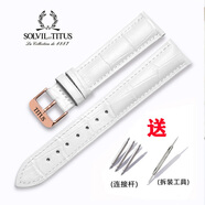 原裝鐵達時手表帶 TITUS天長地久系列真皮表帶針扣配件 18mm20mm男女 白色+玫瑰金色針扣 14mm(表帶接口寬度)