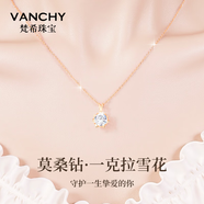 梵希輕奢一克拉鉆石項鏈女莫桑鉆吊墜鎖骨鏈七夕情人節(jié)生日禮物送女友 一克拉莫桑鉆【玫瑰金色/白鉆】