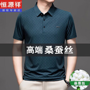 恒源祥桑蠶絲短袖T恤男夏季涼感無(wú)痕抗皺免燙翻領(lǐng)冰,絲PO.LO衫寬松半袖 T307墨蘭 180/XXL155-170斤