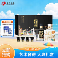 舍得  藝術舍得 大典 濃香型白酒 52度 500ml*2瓶 禮盒裝 