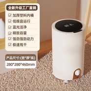 松上迷你脫水機(jī)母嬰兒旅行學(xué)生宿舍脫水機(jī)家用衣物甩干小型甩干機(jī)脫水 白色經(jīng)典款【機(jī)械定時(shí)】