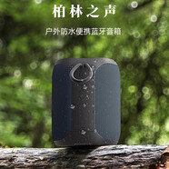 ROBERILLINE柏林之聲藍牙音響A8戶(hù)外便攜低音炮大音量防水便攜桌面音箱可插卡 戶(hù)外便攜桌面音箱A8 +IPX7級防水