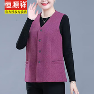 恒源祥馬甲春秋上衣薄款媽媽背心中老年短款女裝無(wú)袖奶奶外套新款坎肩 2號【紫羅蘭】 4XL 建議140-160斤